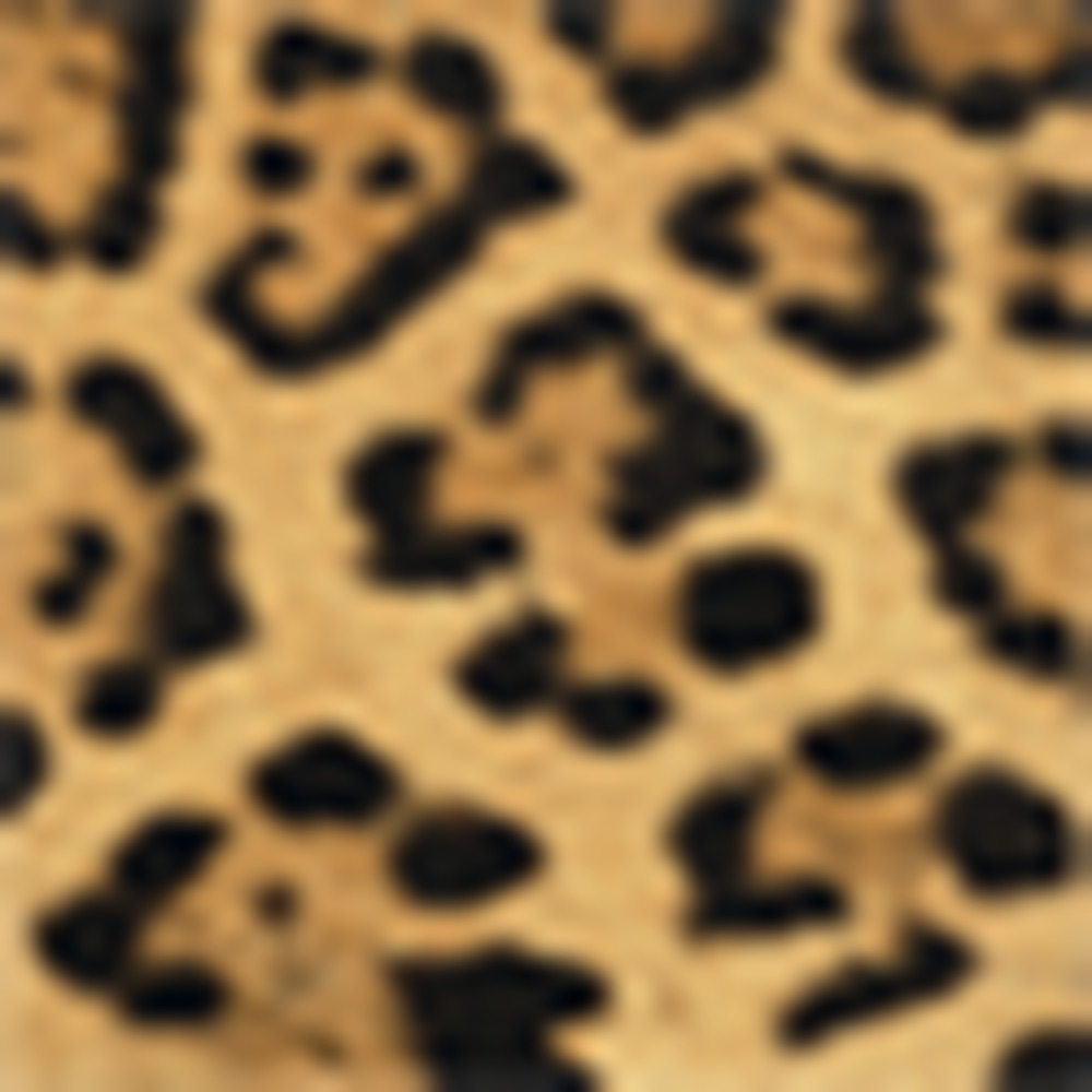 Meet your Posher, Bluerose